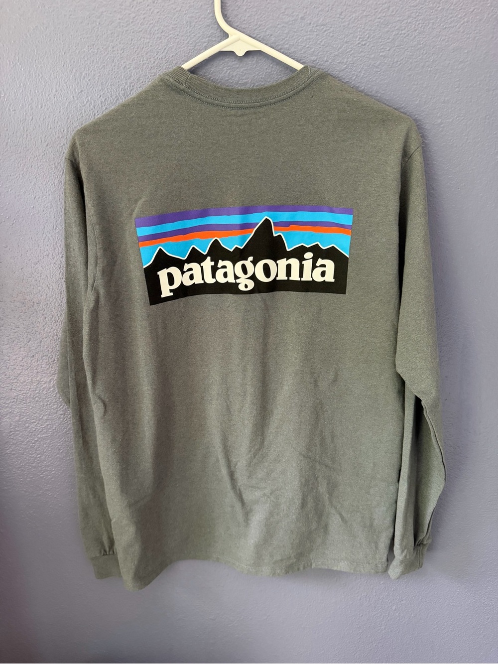NWT Patagonia logo Responsibili-Tee men’s small